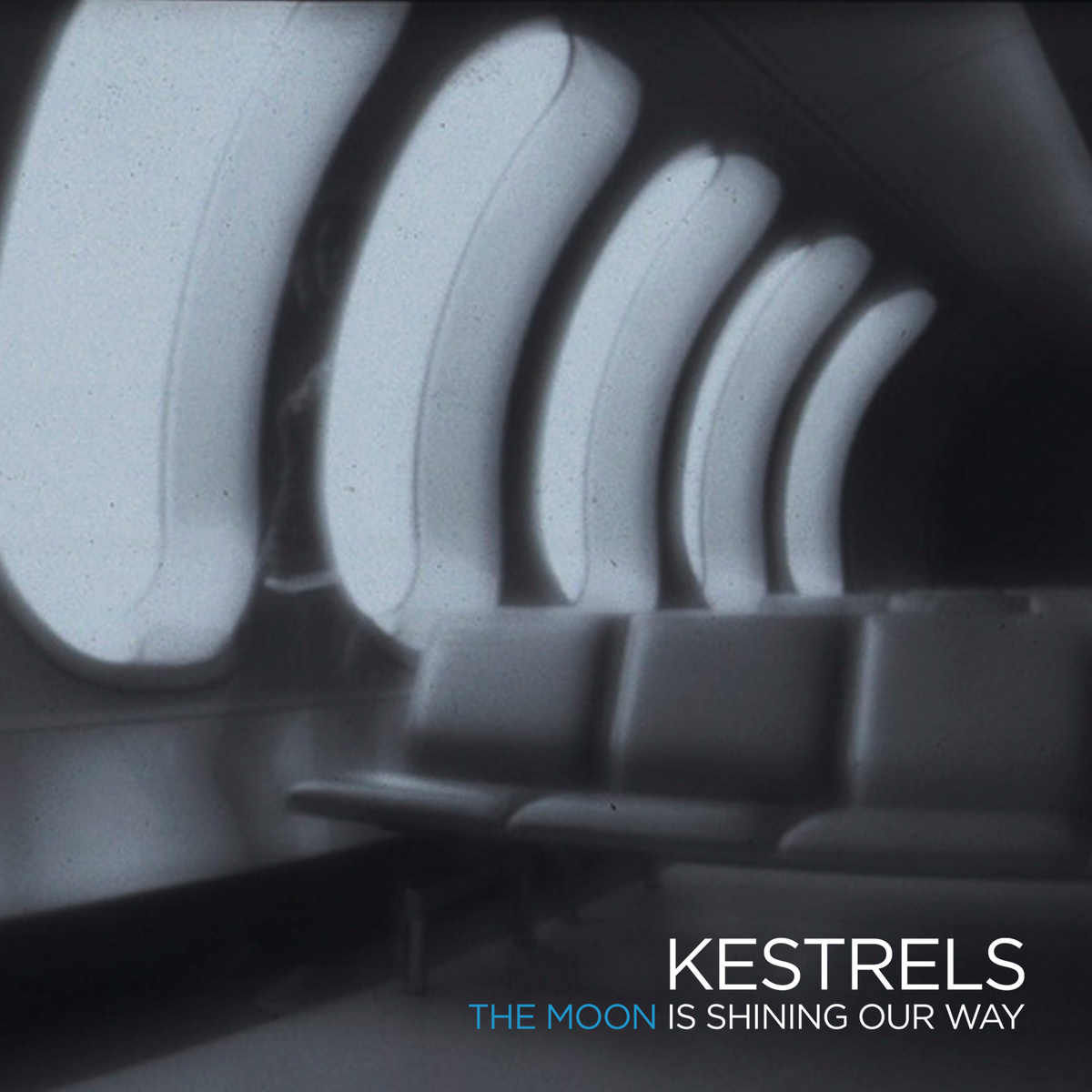 Listen: Kestrels